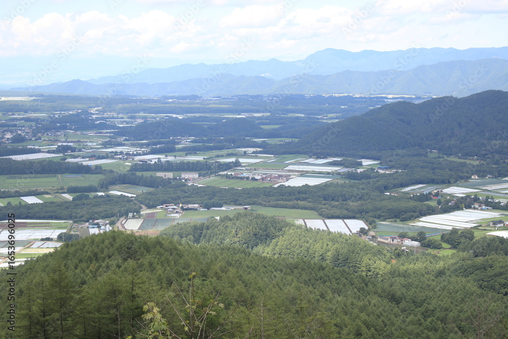 Fototapeta premium 登山道