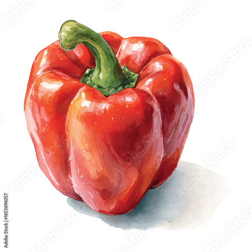 Vibrant Red Bell Pepper Vector Illustration with Watercolor Style and Transparent Background