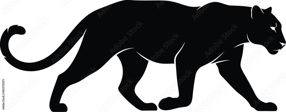 Obraz premium A black panther silhouette walking, a powerful and graceful predator in the wild.