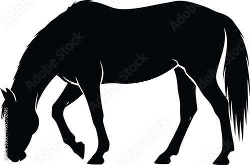 Black silhouette of a horse grazing in a field, showing its profile.