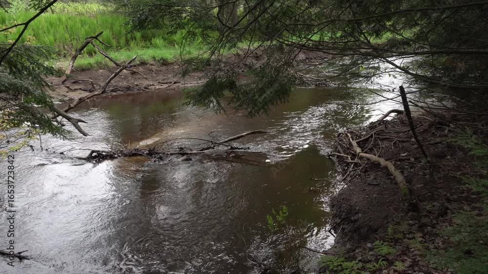 We see a dance on the water's surface moving with joy across the water. There is abundant greenery on both sides of the river. We see a dance on the water's surface moving with joy across the water. There is abundant greenery on both sides of the river.