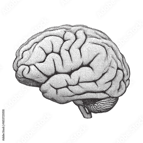 human brain retro halftone vector