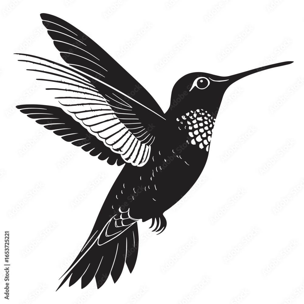 Fototapeta premium black hummingbird Silhouette Vector, High Quality Illustration on White Background