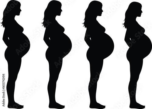 Silhouette illustration of pregnant woman showing different pregnancy stages for maternity, prenatal health, motherhood, and educational vector design purposes