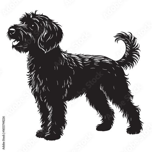 black labradoodle Silhouette Vector, High Quality Illustration on White Background