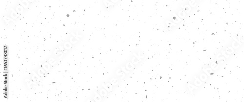 Light gray Eggshell Texture. Washi eggshell background. Minimalistic Vector Illustration.