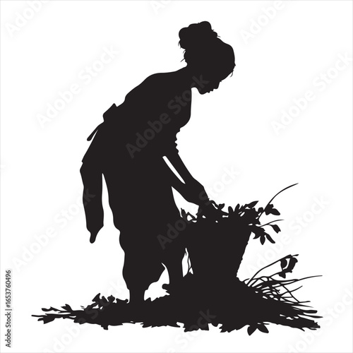 Woman Silhouette Harvesting Fresh Vegetables in Garden – Vector Illustration