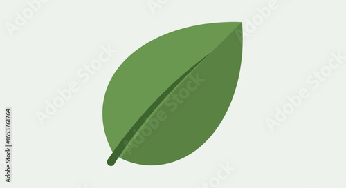 Single Green Leaf Illustration on White Background for Ecological Designs and Educational Materials Depicting Plant Anatomy and Nature's Simplicity.