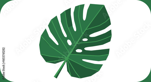 Isolated Monstera Leaf Illustration for Tropical Decoration, Botanical Designs, and Creative Projects, Perfect for adding a touch of nature to web design, print media or digital art.