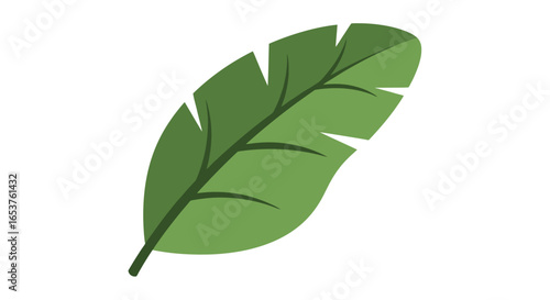 Isolated Tropical Leaf Illustration for Botanical Education, Green Design Projects, and Environmental Awareness Materials, Ideal for Nature-Themed Design