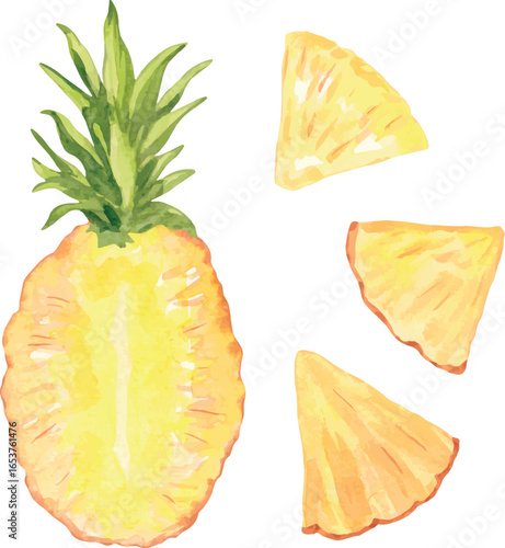 Vector watercolor illustration set of whole pineapple, pineapple cross-section, pineapple slices, and pineapple chunks, ideal for tropical fruit packaging, recipe cards, juice labels, and summer menu 