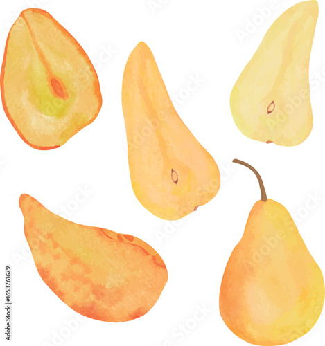 Vector watercolor illustration set of whole pear, pear half, pear slice, dried pear, and baked pear — perfect for fruit packaging, dessert recipe cards, farmers market posters, and healthy food projec