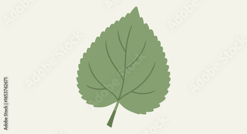 Single Green Leaf Illustration with Detailed Veins on Pale Background, Ideal for Botanical Studies, Educational Materials, and Nature-Themed Design Projects