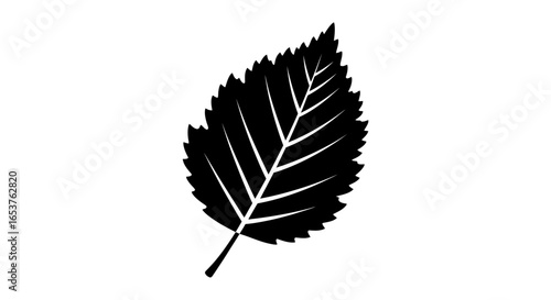 Minimalist Leaf Illustration for Botanical Studies, Nature-Inspired Designs, and Eco-Friendly Projects, suitable for logo design, print media, and digital graphics.