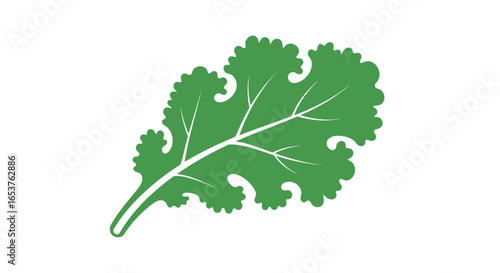 Fresh Green Kale Leaf Graphic Illustration for Healthy Eating Campaigns and Agricultural Presentations, Showcasing Natural Food and Vegetarian Options