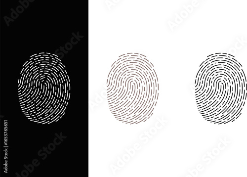 Fingerprint identification security scan unique access data