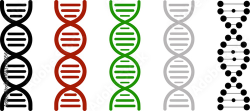 Dna structure genetic code helix biology science vector art