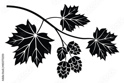 Black Hop Branch with Leaves on White Background Silhouette
