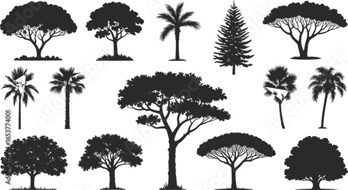 Silhouettes of various trees, palm, conifer, broadleaf, diverse species, nature shapes, botanical study, forest design elements, foliage structure, landscape illustration, outdoor scene