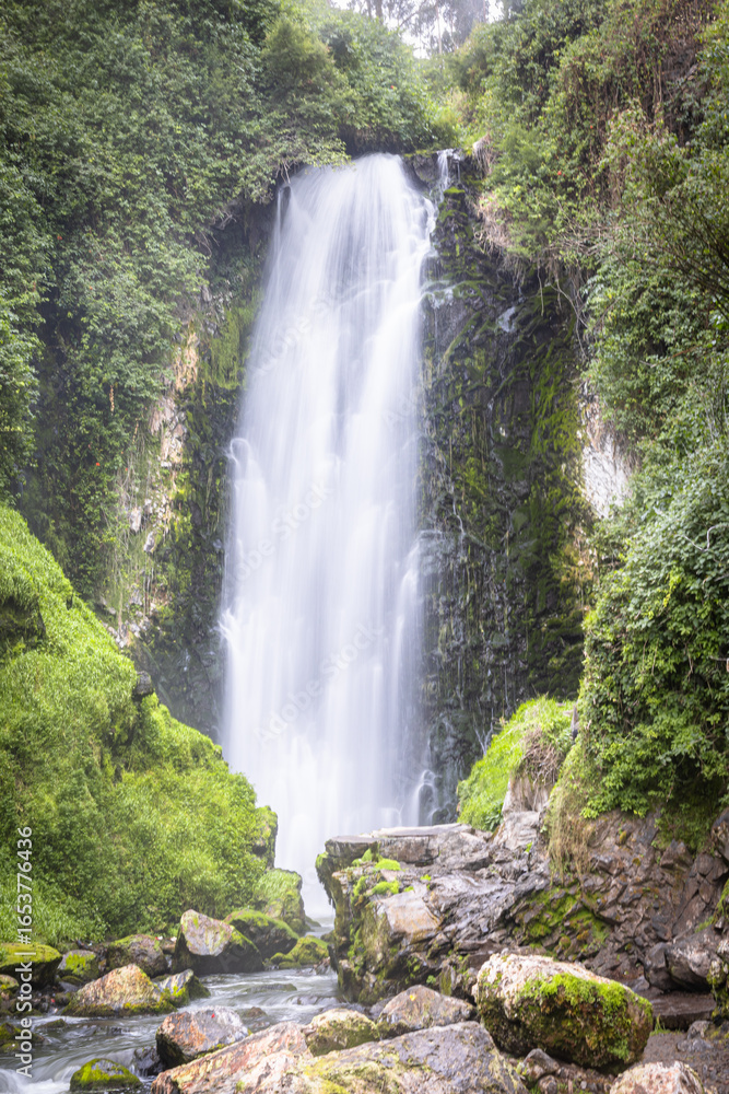 Fototapeta premium Majestic Peguche waterfall in Otavalo, Ecuador. Water cascades powerfully among moss-covered rocks and vibrant greenery, reflecting the purity of Andean nature.