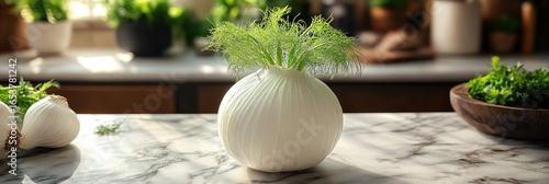 White bulbous fennel with fresh green fronds sits on a marble countertop
