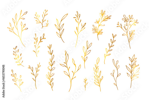 Collection of golden botanical elements and leaves isolated on white background
