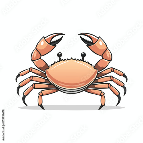 Cartoon illustration of a crab with orange body, black claws, and detailed features.