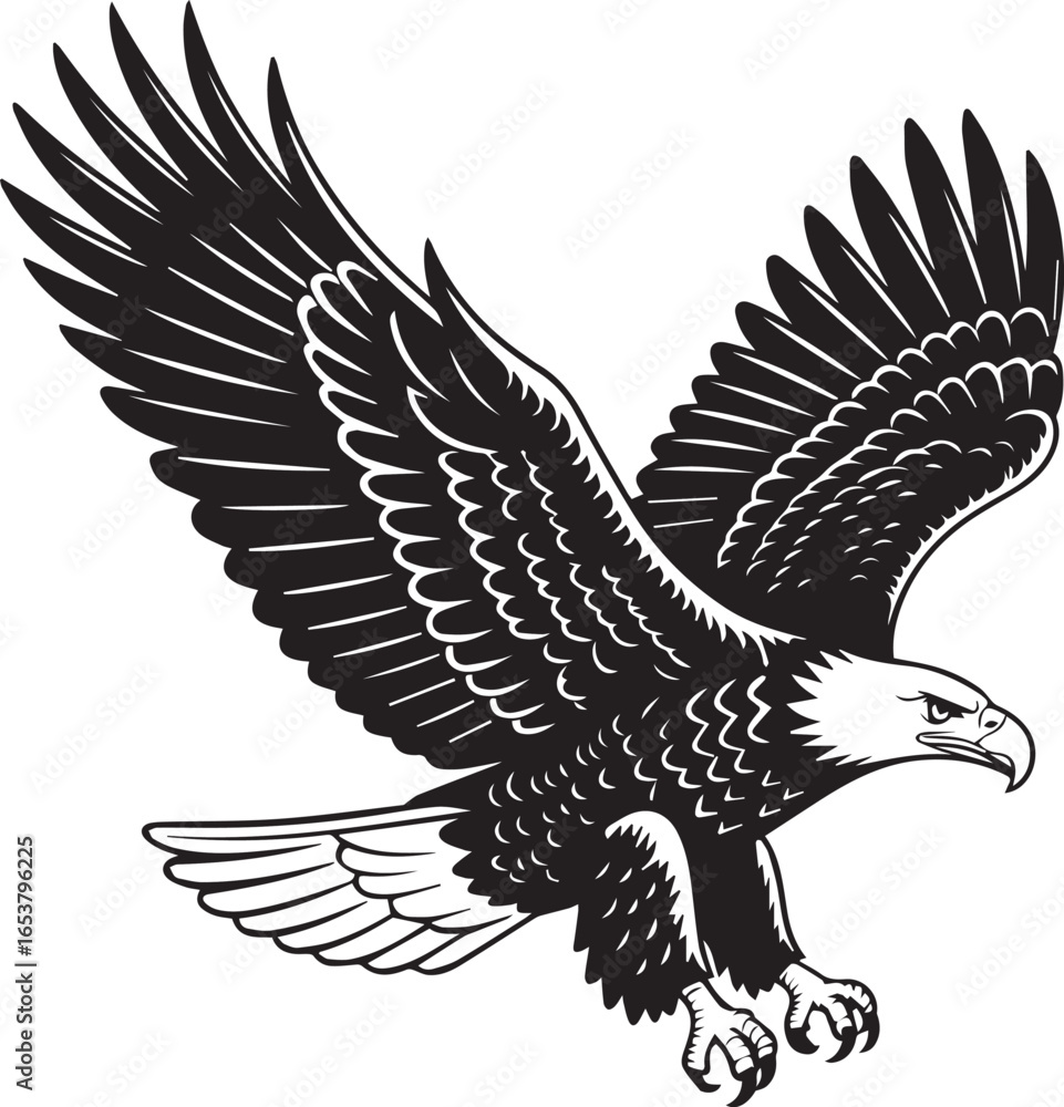 Fototapeta premium Majestic bald eagle in flight with wings spread wide