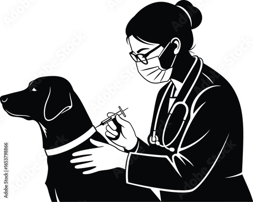 Caring veterinarian administers vaccine to a dog during a health check-up