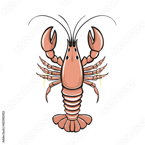 Detailed illustration of a lobster, showcasing its anatomy and features in a vibrant color palette.