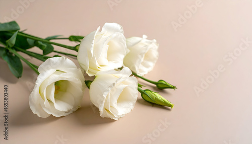 White Flowers Arranged on a Beige Surface with Green Stems and Petal Focus Soft Lighting