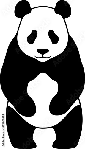 Illustration of a panda bear standing with a white belly and black fur in a simple vector design