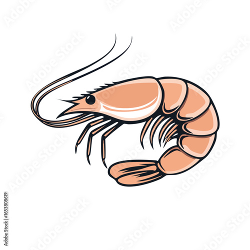 Illustration of a cooked shrimp, showcasing its curved body, antennae, and segmented shell.
