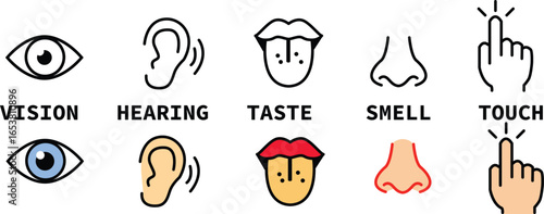 icon set of five human senses. vision eye, smell nose, hearing ear, touch hand, taste mouth with tongue sign. medical reference symbol. five types of human sense logo. flat style.