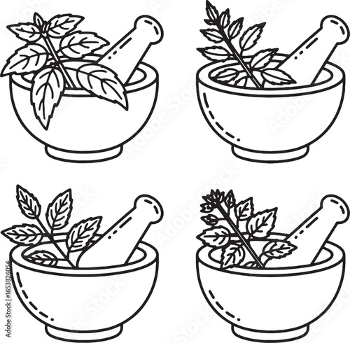 Four Mortar and Pestle with Herbs Line Art Illustrations plants leaves