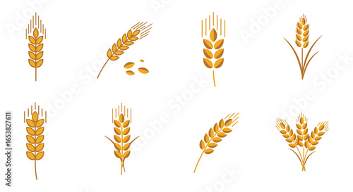 Collection of Golden Wheat Stalks and Grains