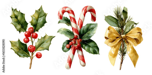Christmas Decorations with Holly, Candy Canes, and Pine Sprig
