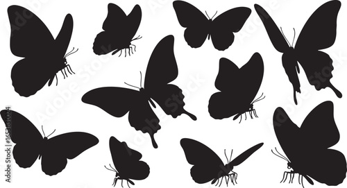 Man in a suit and tie formal wear business attire, man, suit, tie, formal wear, business attire, professional, confident, standing, portrait, silhouette, transparent background