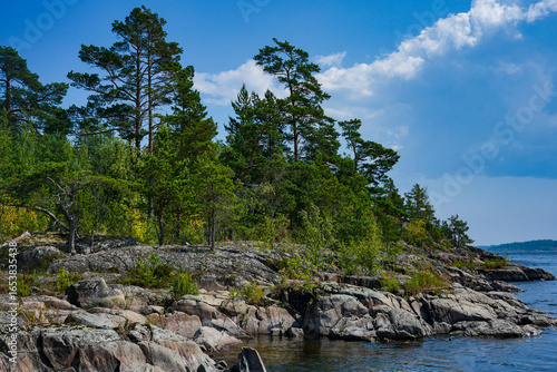 Rocky shoreline with pine trees under a blue sky