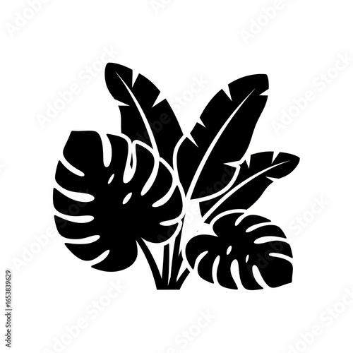 silhouette of a plant