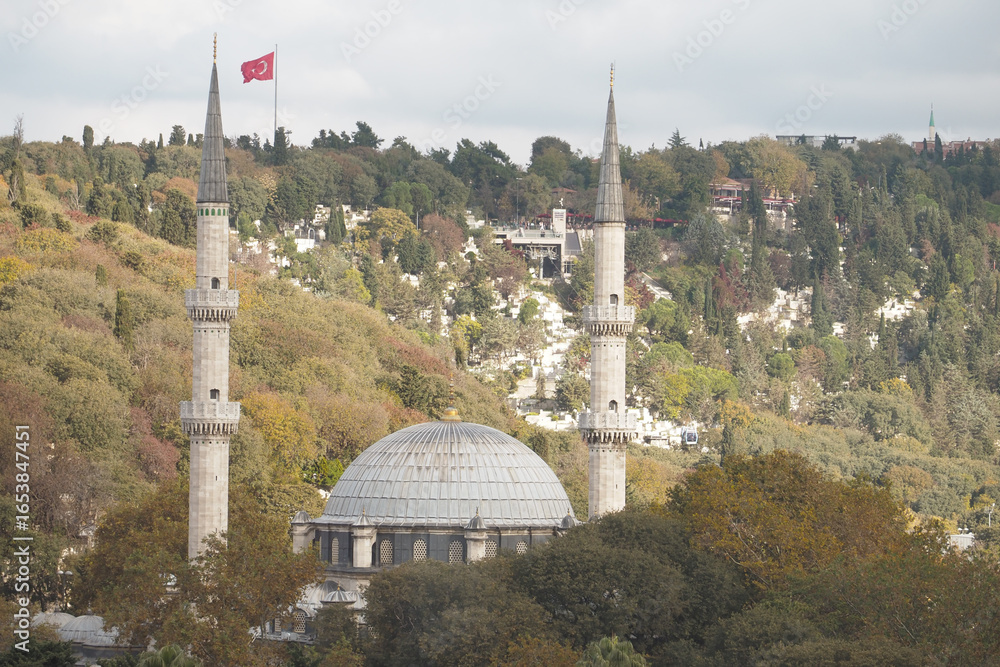 Naklejka premium View of mosque and flag surrounded by autumn trees