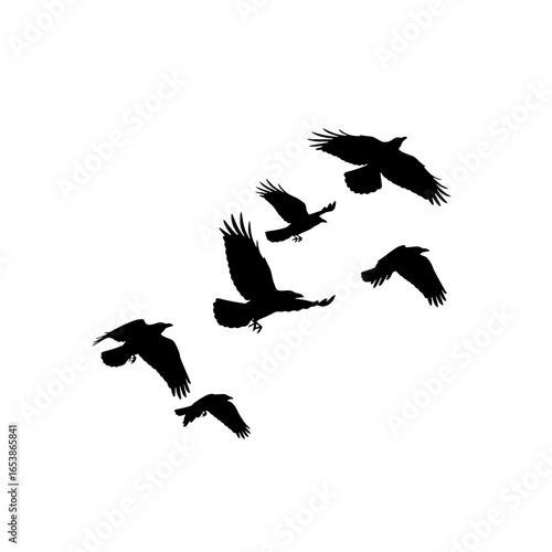 A Group of Birds Silhouetted Against a White Background Forming a Black Flock Pattern as they Fly Together