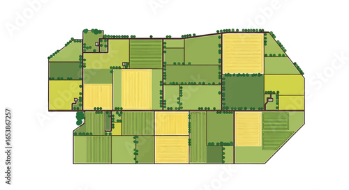 Aerial View of Green and Yellow Agricultural Fields in Patterned Grid with Farms and Cultivated Plots
