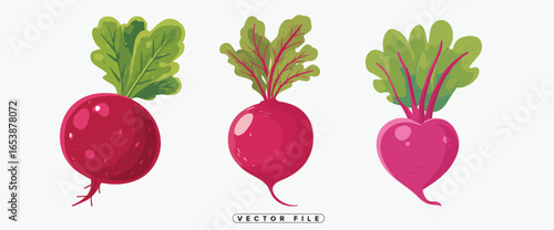 Three colorful beets with green leafy tops on white background