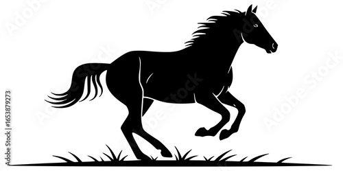 Horse runs quickly and plays with foal in open field gallops elegantly