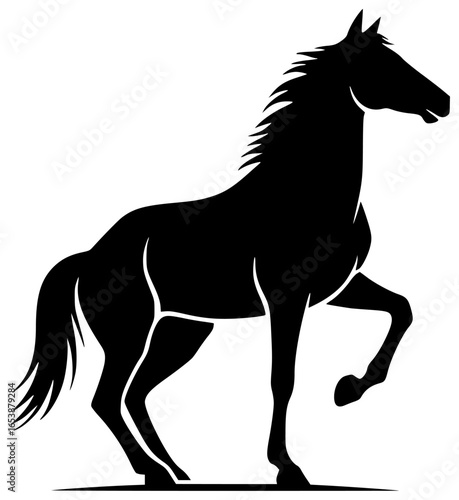Horse runs quickly and plays with foal in open field gallops elegantly
