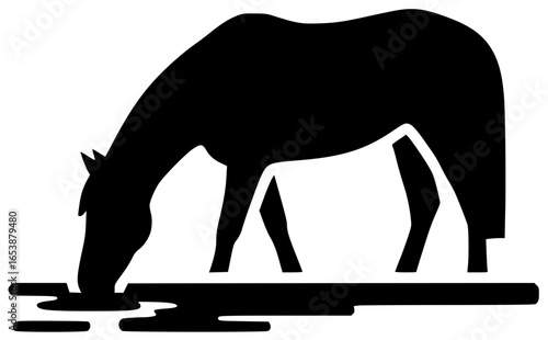 Horse runs quickly and plays with foal in open field gallops elegantly