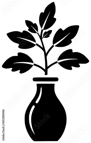 Paprika herb in garden and vase on plate with herb in bowl basket