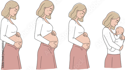 Pregnancy journey and motherhood illustration, four stages of pregnancy, expectant mother to baby, family love, maternity transformation, pastel style design