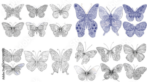 Delicate butterfly line art illustration set with fine ink details and minimal coloring. Ideal for coloring books, tattoo design, botanical sketches, and minimalist art collections.